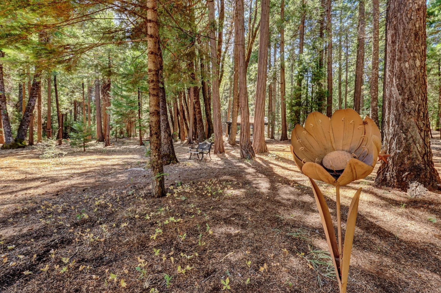 Detail Gallery Image 87 of 95 For 11454 Sky Pines Ridge Rd, Nevada City,  CA 95959 - 3 Beds | 2 Baths