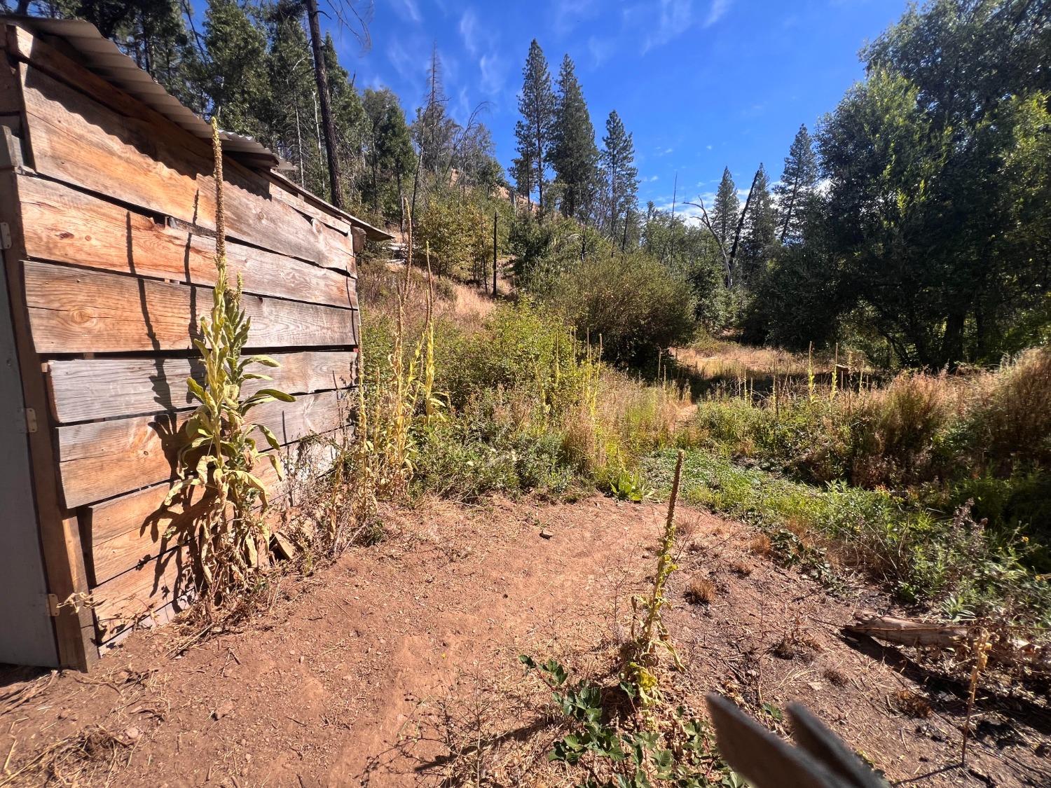 Cedar Springs Rd, Mountain Ranch, California image 18