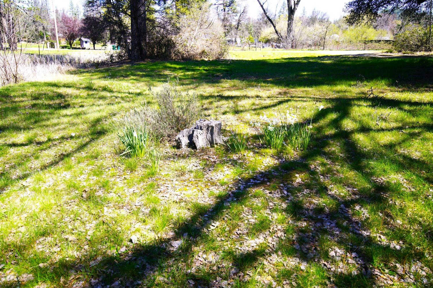 Detail Gallery Image 24 of 29 For 10806 Beckville Rd, Nevada City,  CA 95959 - 2 Beds | 2 Baths