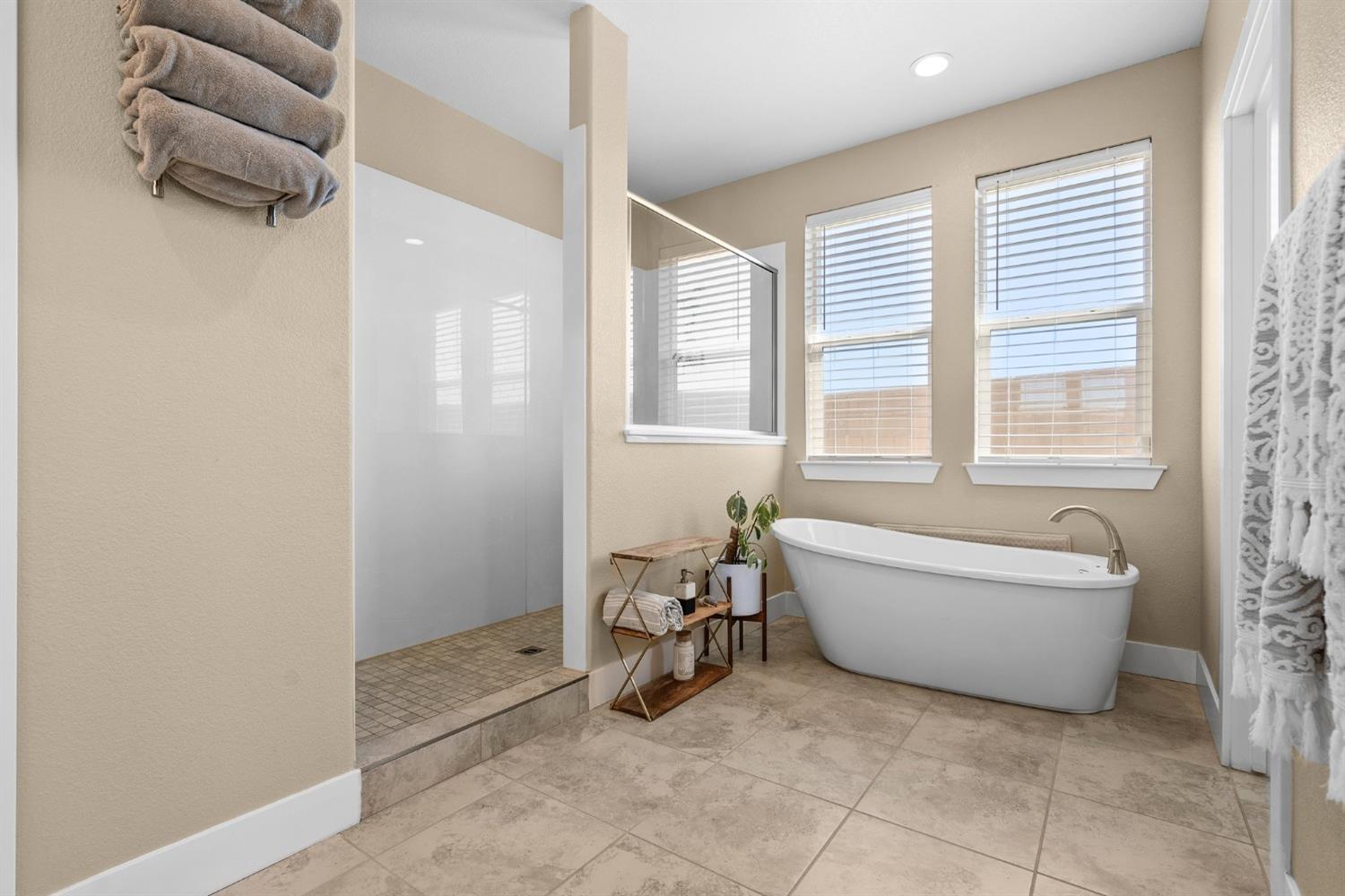 Detail Gallery Image 20 of 55 For 1923 Trulyn, Manteca,  CA 95337 - 5 Beds | 3/1 Baths