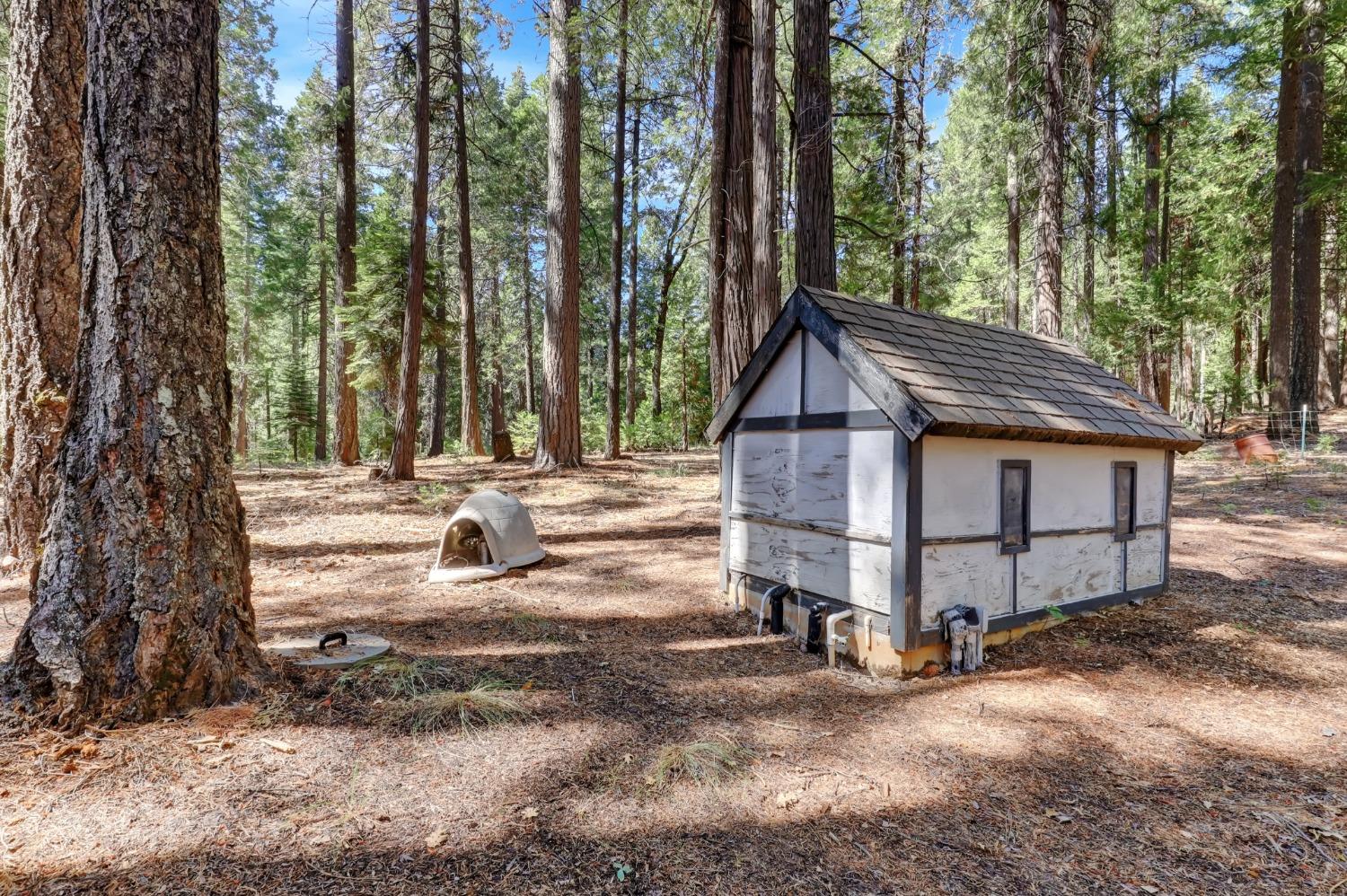 Detail Gallery Image 75 of 95 For 11454 Sky Pines Ridge Rd, Nevada City,  CA 95959 - 3 Beds | 2 Baths