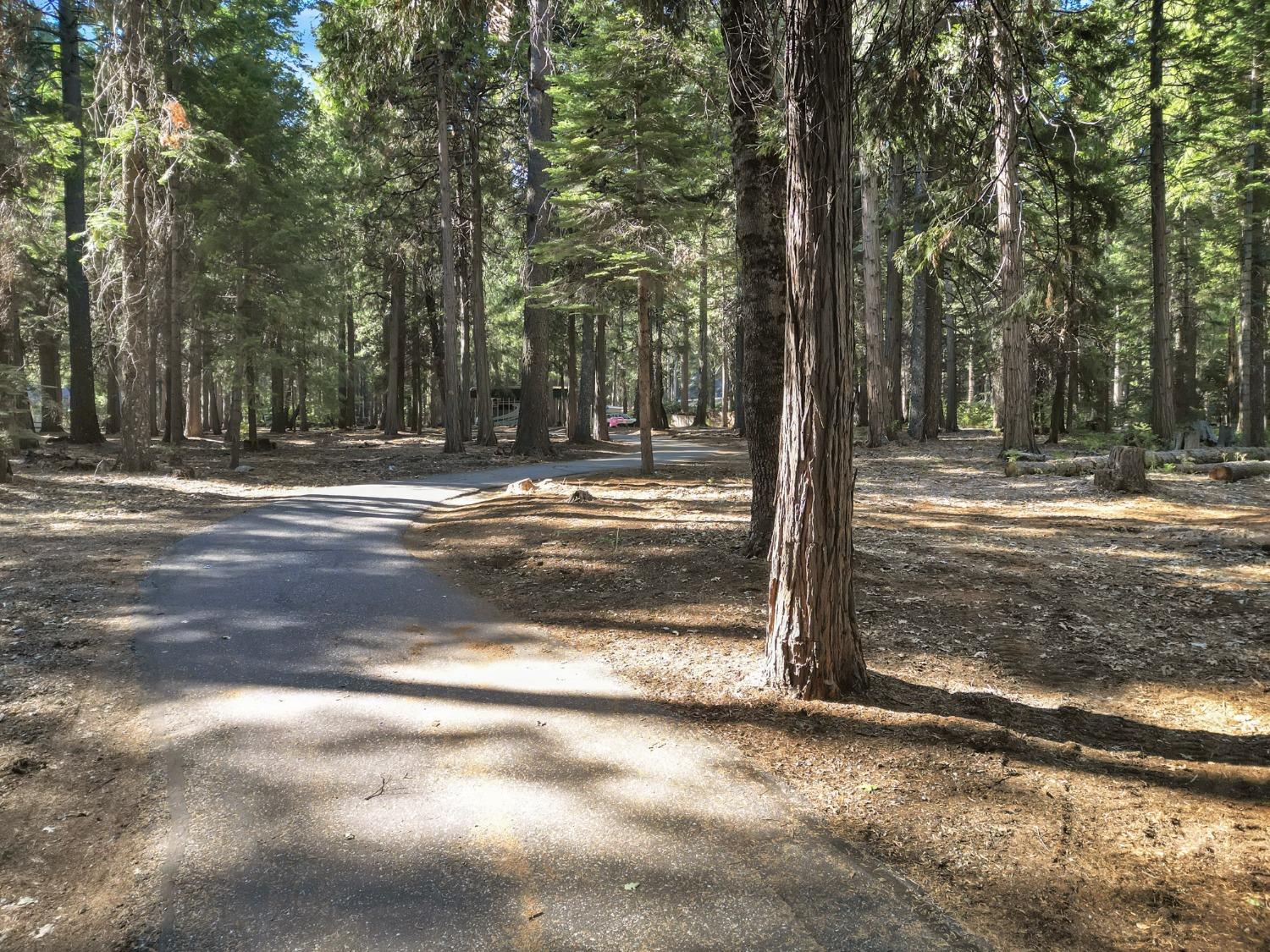 Detail Gallery Image 49 of 95 For 11454 Sky Pines Ridge Rd, Nevada City,  CA 95959 - 3 Beds | 2 Baths