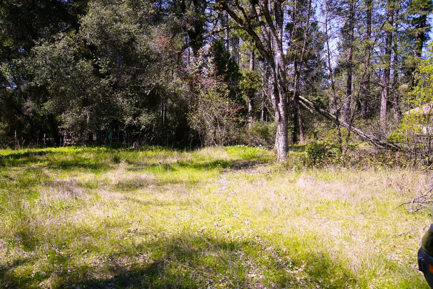 Detail Gallery Image 19 of 29 For 10806 Beckville Rd, Nevada City,  CA 95959 - 2 Beds | 2 Baths