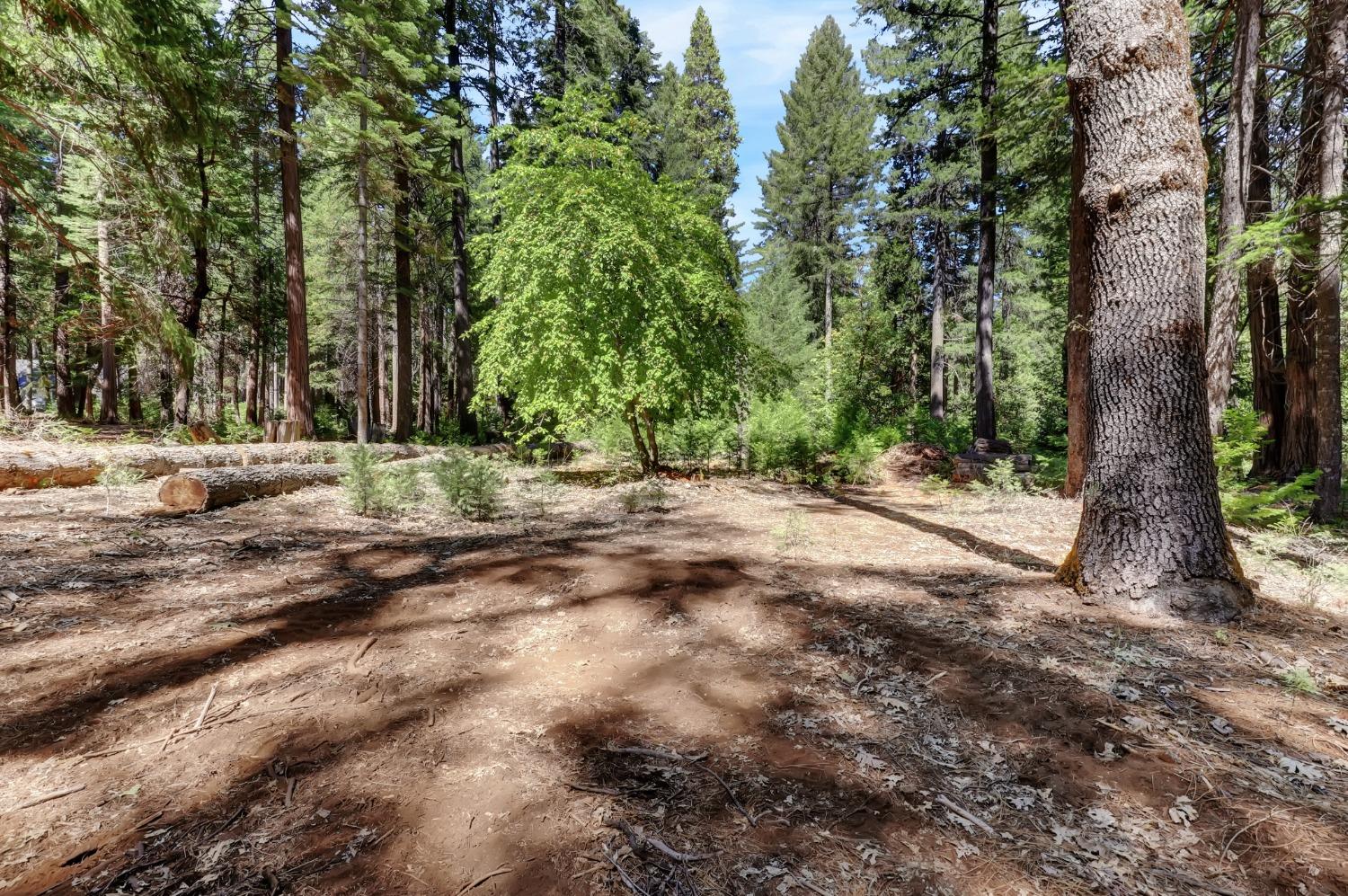 Detail Gallery Image 65 of 95 For 11454 Sky Pines Ridge Rd, Nevada City,  CA 95959 - 3 Beds | 2 Baths