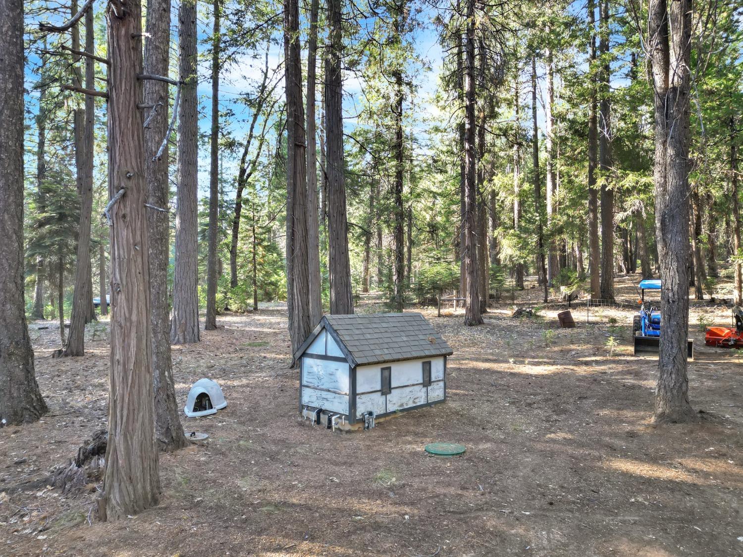 Detail Gallery Image 57 of 95 For 11454 Sky Pines Ridge Rd, Nevada City,  CA 95959 - 3 Beds | 2 Baths