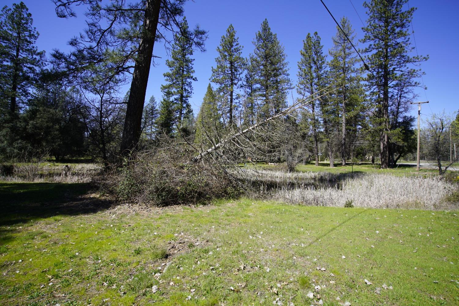 Detail Gallery Image 29 of 29 For 10806 Beckville Rd, Nevada City,  CA 95959 - 2 Beds | 2 Baths