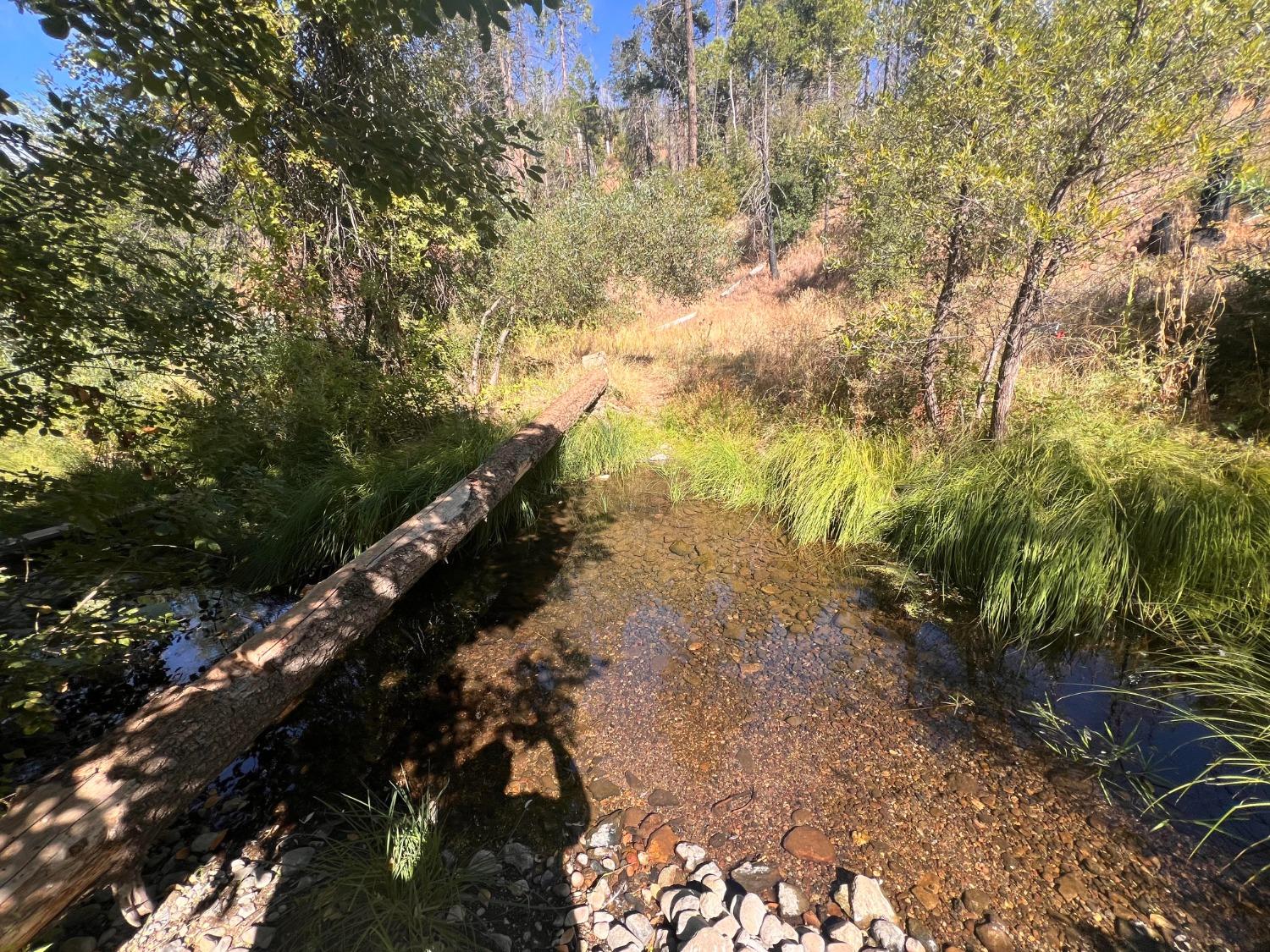 Cedar Springs Rd, Mountain Ranch, California image 1