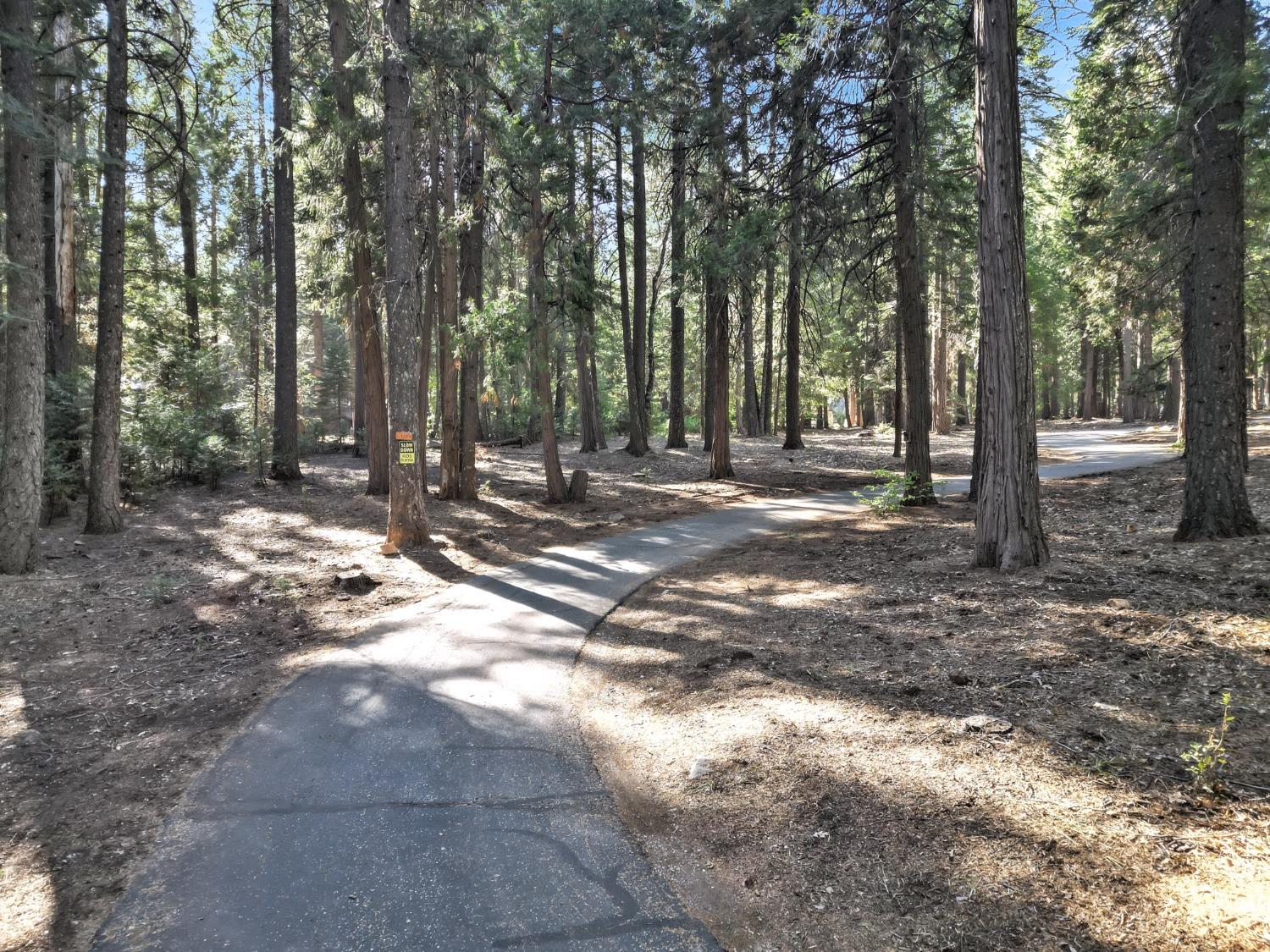 Detail Gallery Image 48 of 95 For 11454 Sky Pines Ridge Rd, Nevada City,  CA 95959 - 3 Beds | 2 Baths