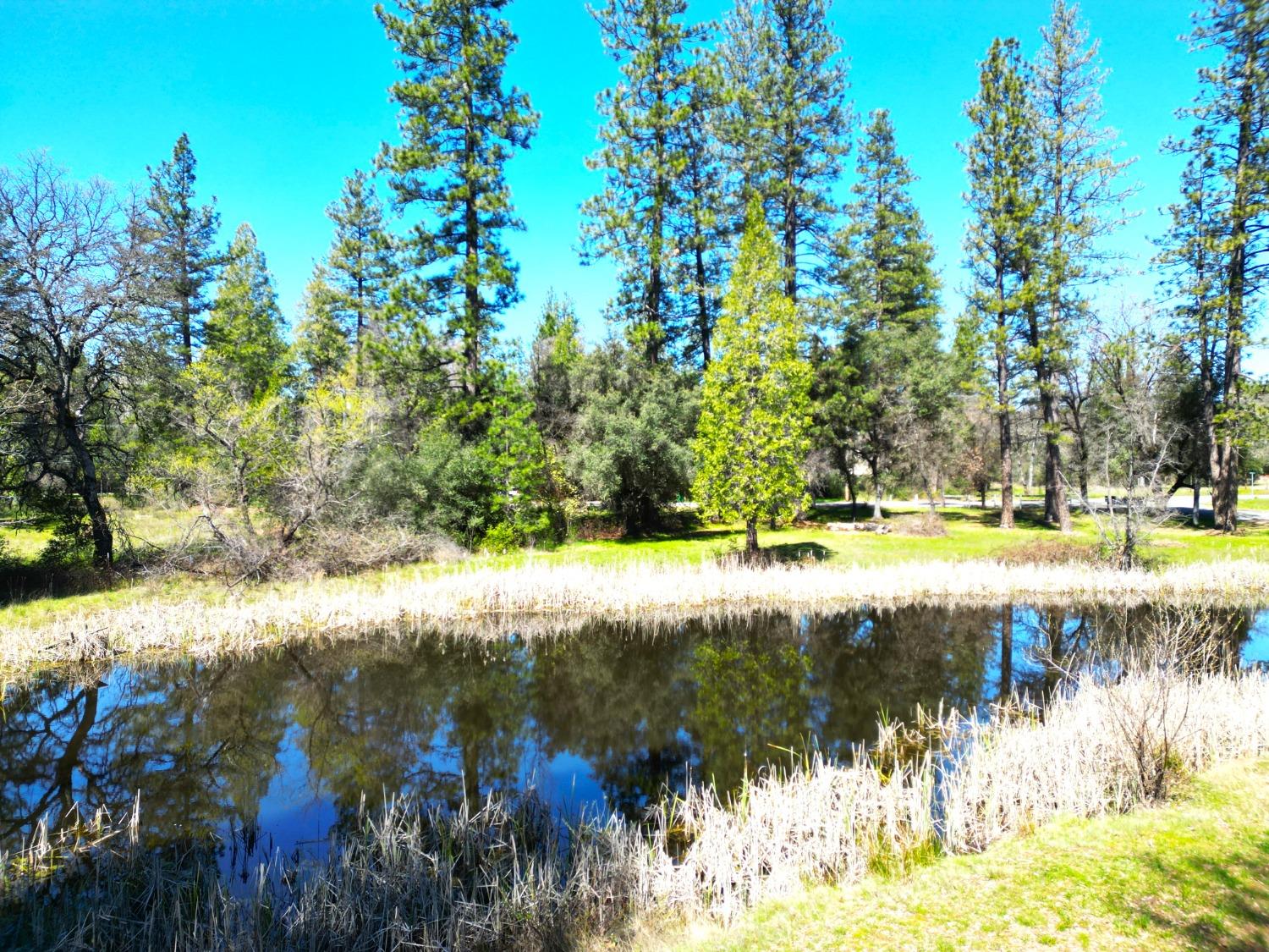 Detail Gallery Image 4 of 29 For 10806 Beckville Rd, Nevada City,  CA 95959 - 2 Beds | 2 Baths