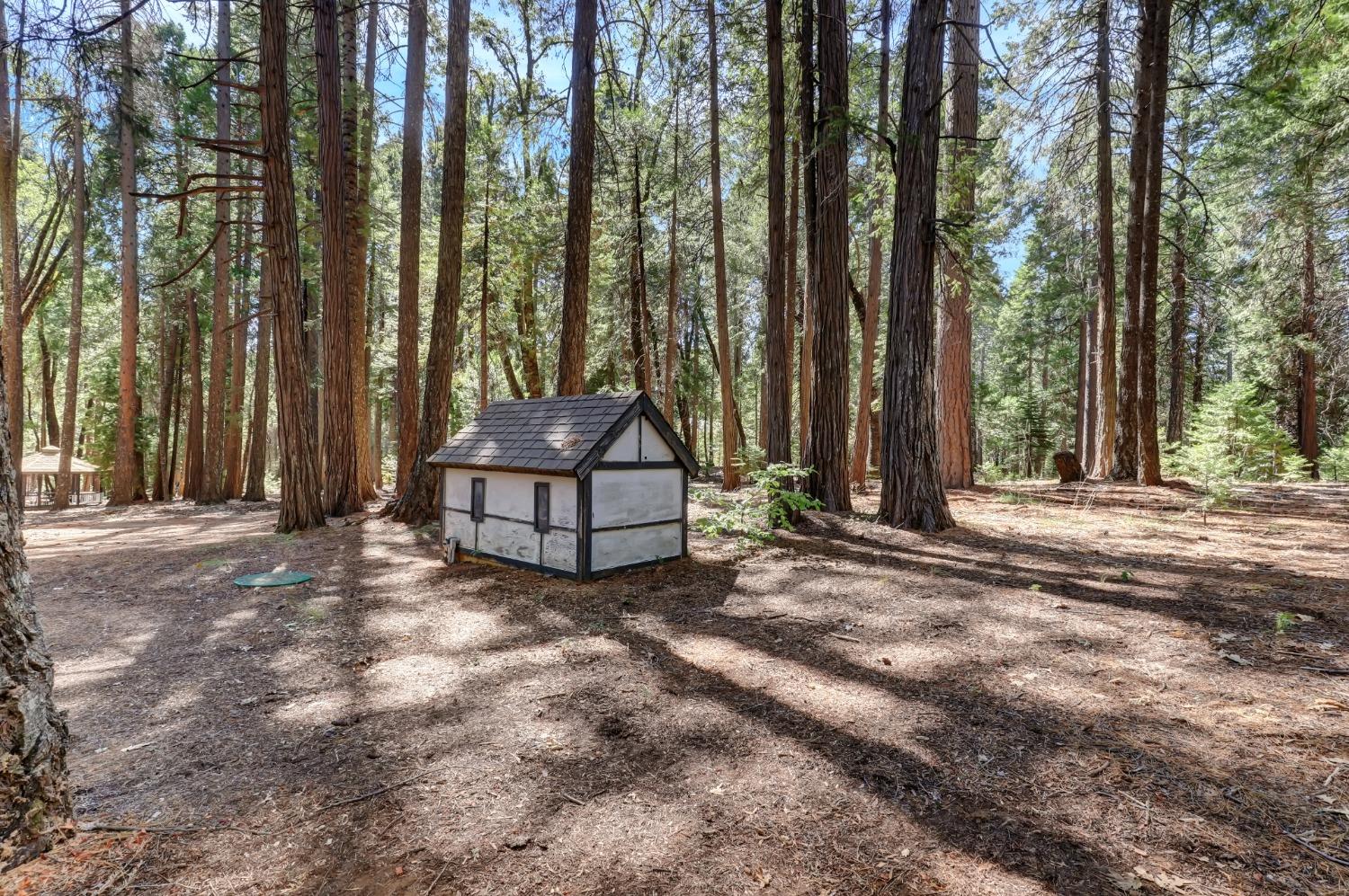 Detail Gallery Image 73 of 95 For 11454 Sky Pines Ridge Rd, Nevada City,  CA 95959 - 3 Beds | 2 Baths