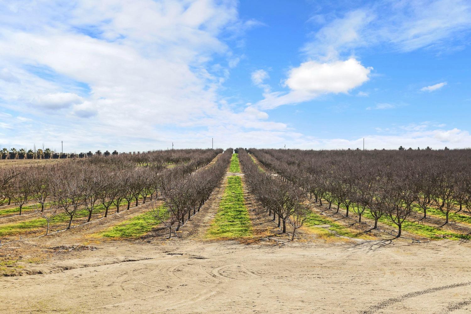 Bradbury Road, Ballico, California image 14