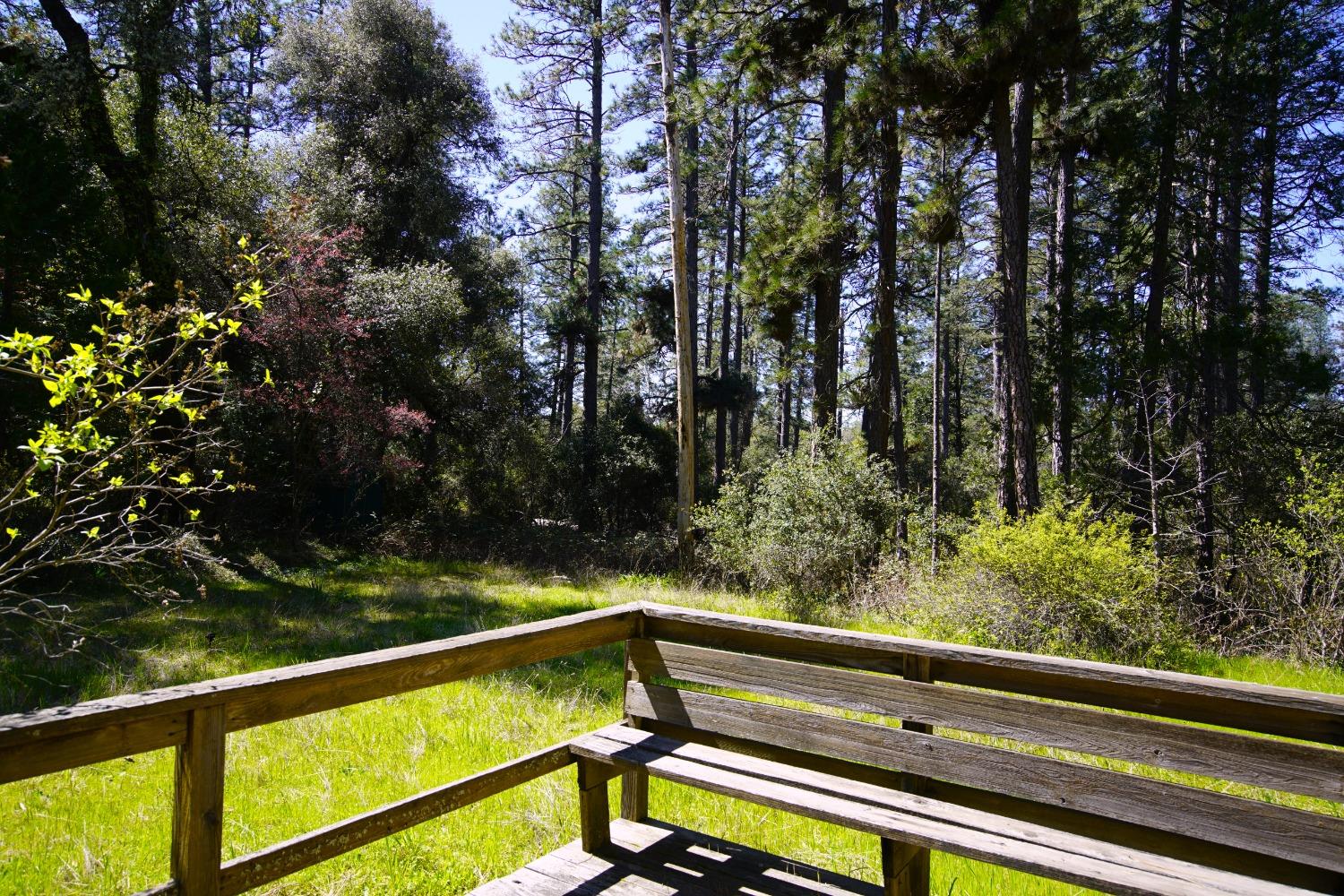 Detail Gallery Image 22 of 29 For 10806 Beckville Rd, Nevada City,  CA 95959 - 2 Beds | 2 Baths