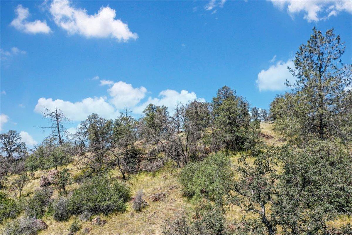 Lot 29 Township, Browns Valley, California image 34