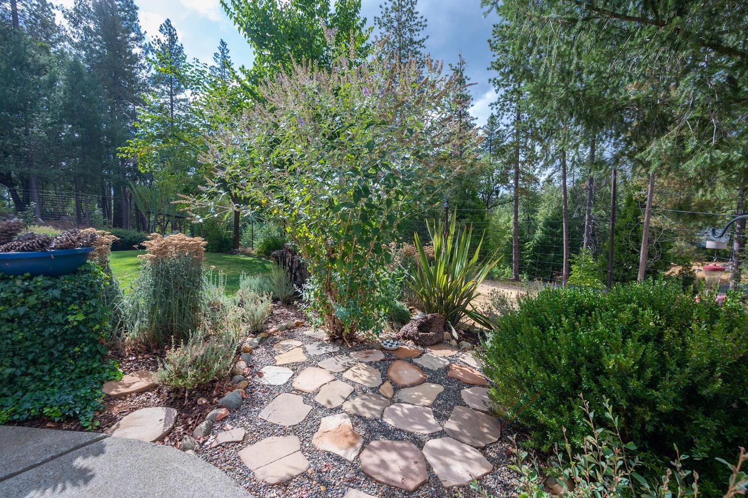 Detail Gallery Image 6 of 42 For 6460 Deer Canyon Ct, Placerville,  CA 95667 - 3 Beds | 2 Baths