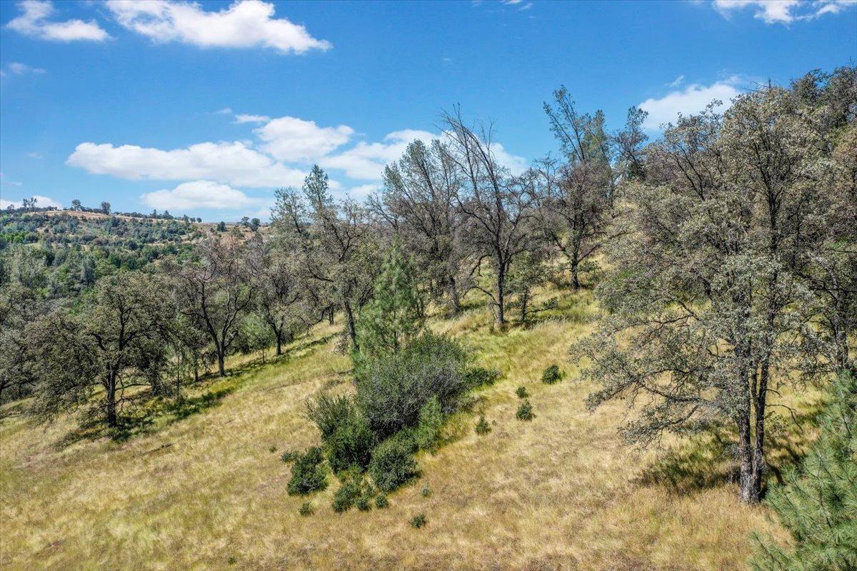 Lot 29 Township, Browns Valley, California image 27