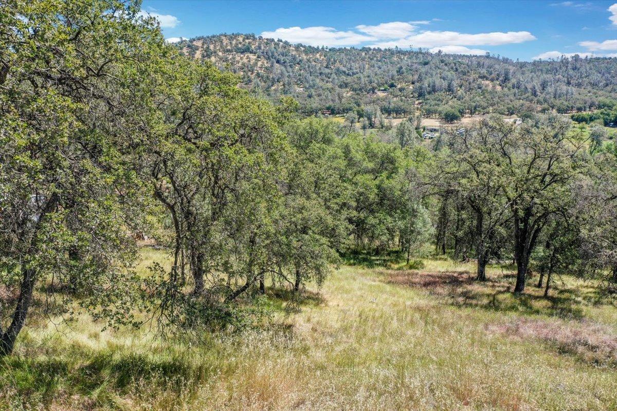 Lot 29 Township, Browns Valley, California image 46