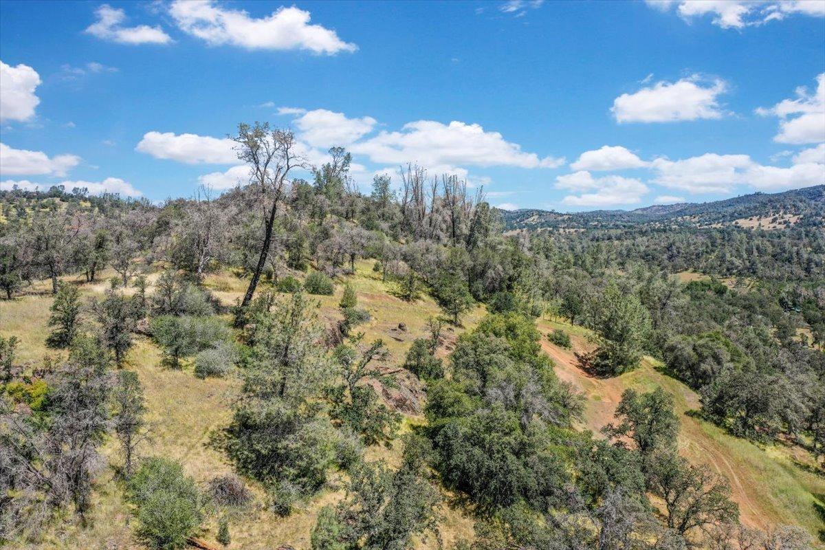 Lot 29 Township, Browns Valley, California image 40