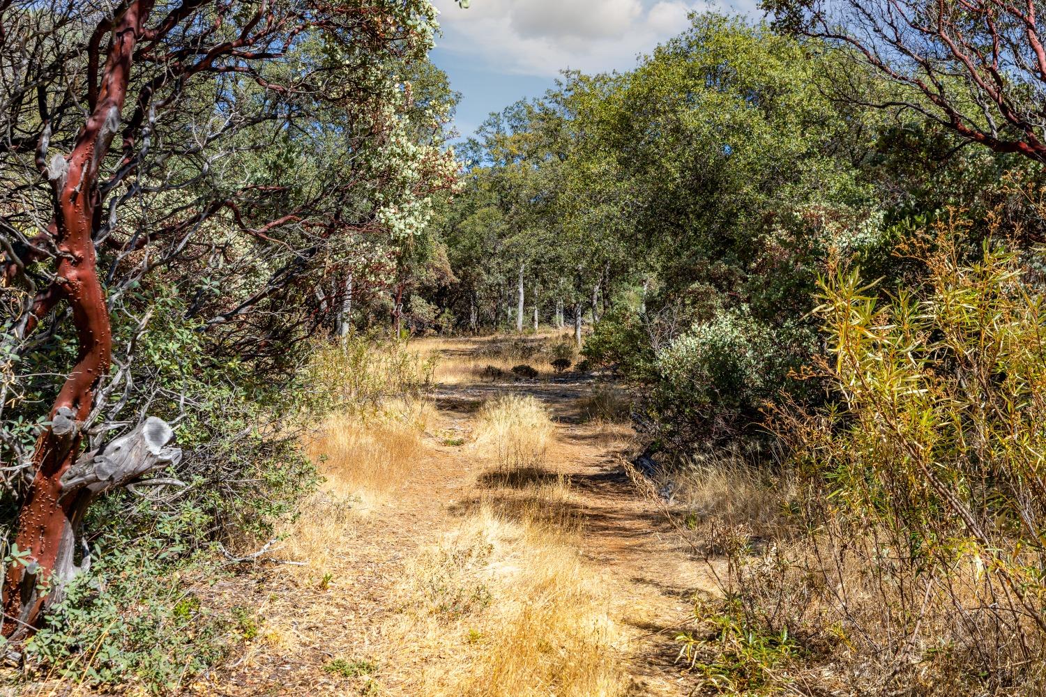 Detail Gallery Image 9 of 19 For 12600 Lowhills Rd, Nevada City,  CA 95959 - – Beds | – Baths