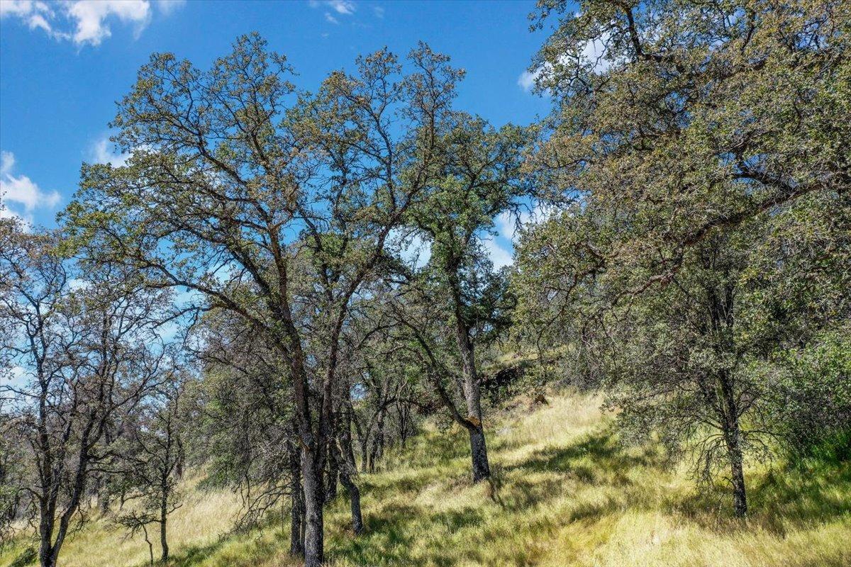 Lot 29 Township, Browns Valley, California image 25