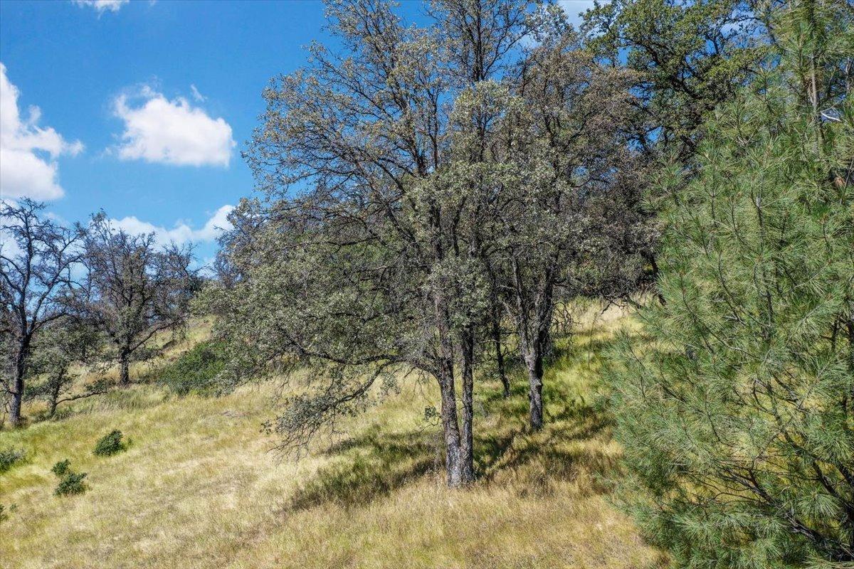 Lot 29 Township, Browns Valley, California image 30