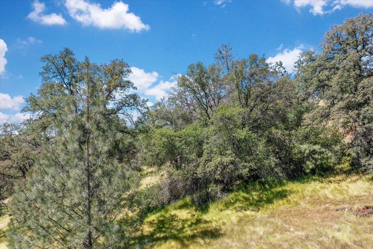 Lot 29 Township, Browns Valley, California image 17