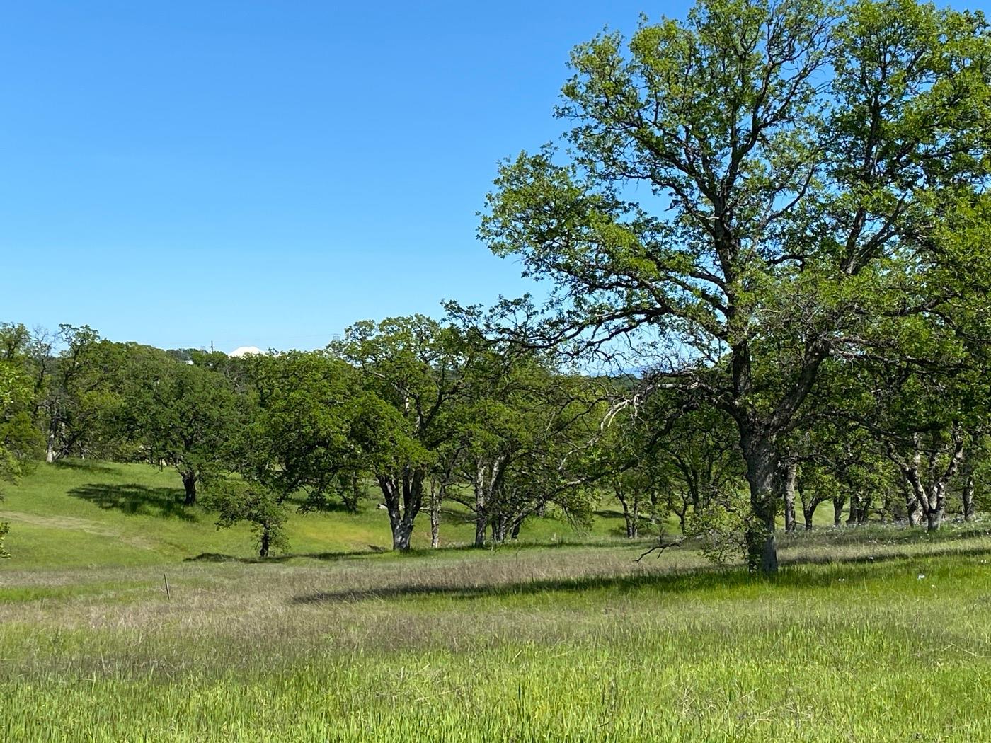 Deer Crest Trail, Cottonwood, California image 8