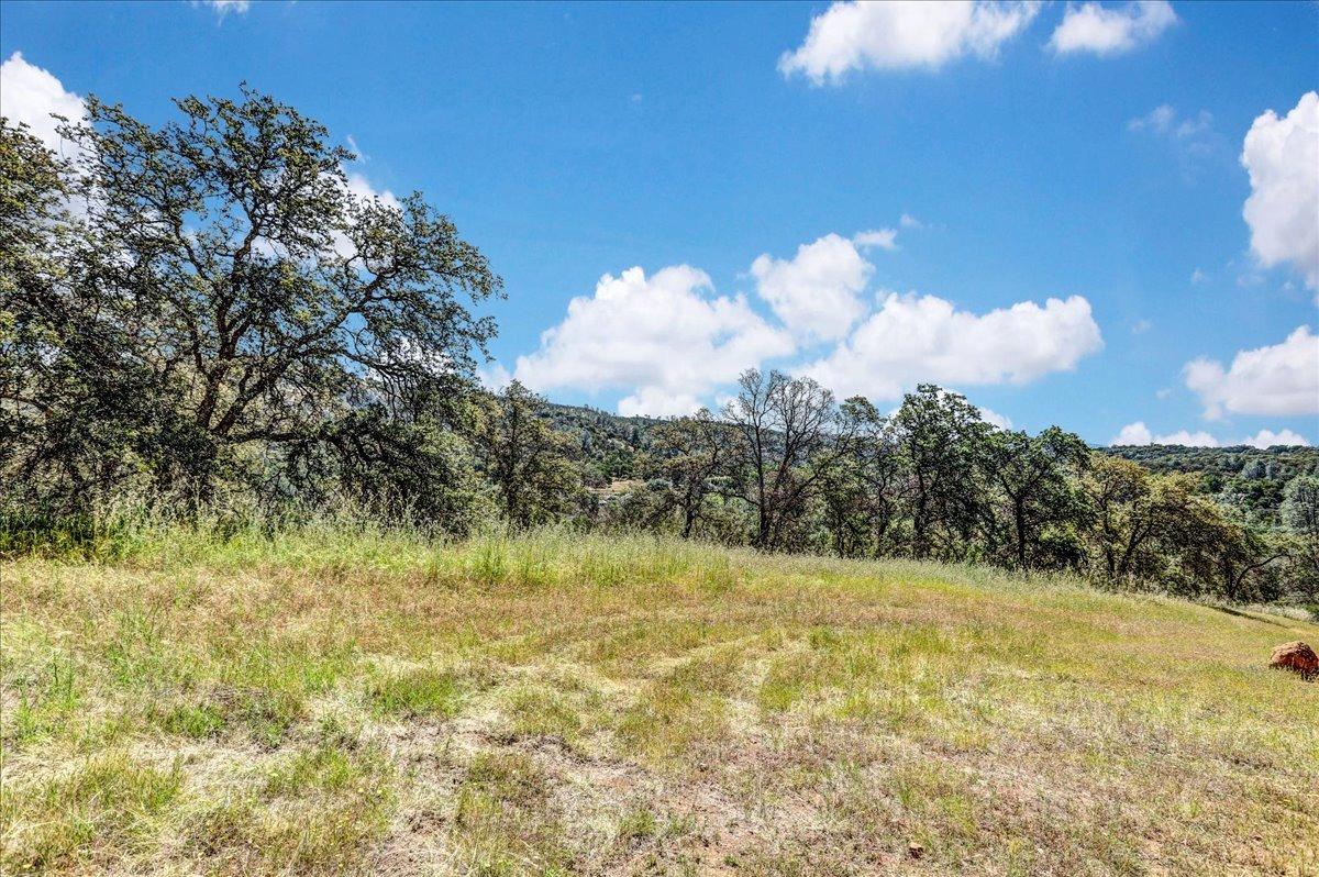 Lot 29 Township, Browns Valley, California image 50