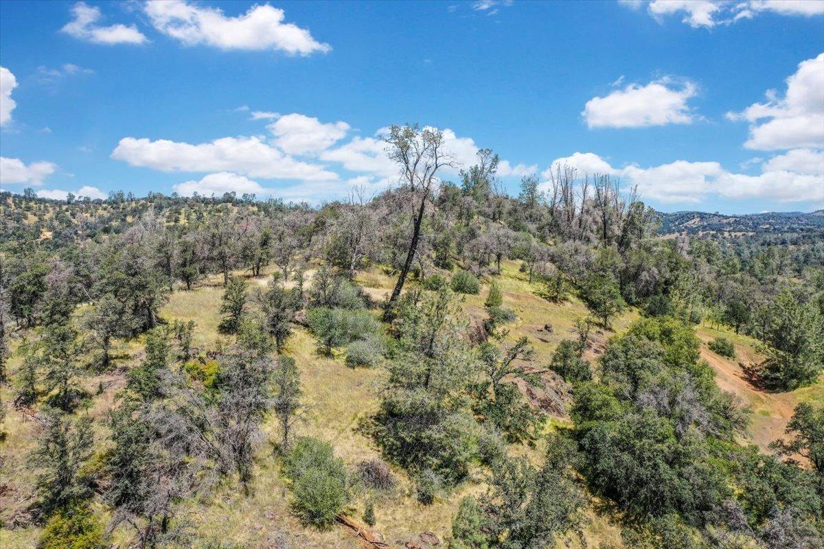 Lot 29 Township, Browns Valley, California image 41