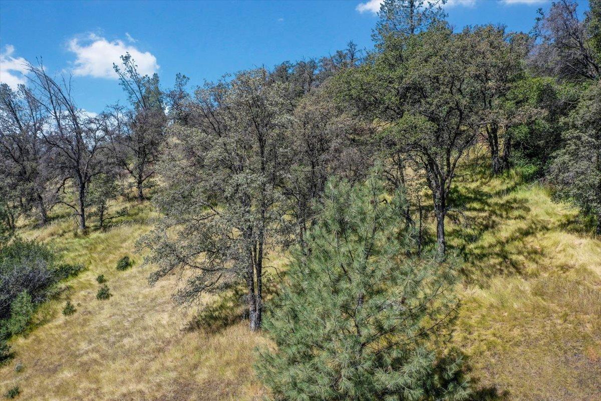 Lot 29 Township, Browns Valley, California image 7