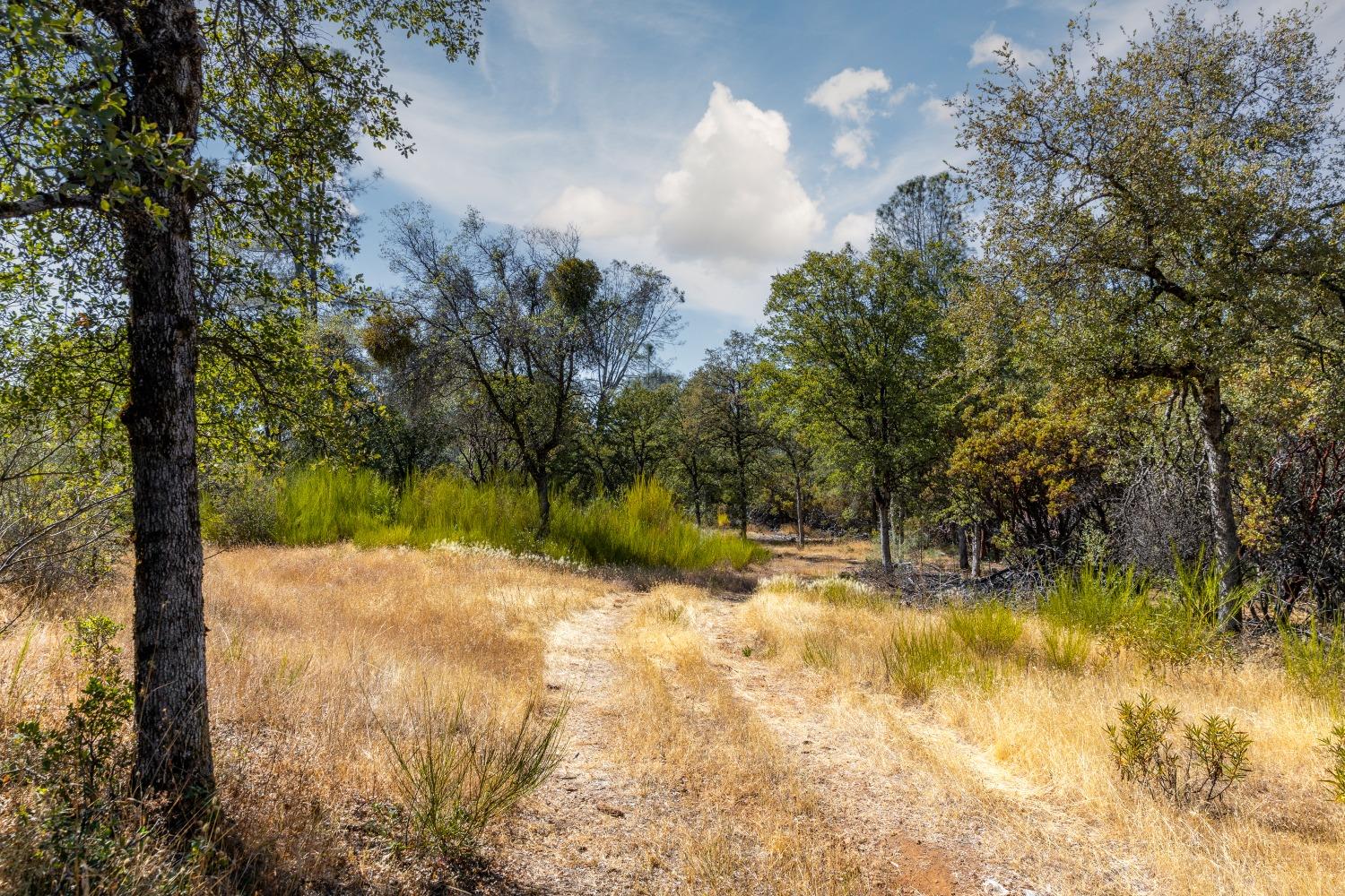 Detail Gallery Image 3 of 19 For 12600 Lowhills Rd, Nevada City,  CA 95959 - – Beds | – Baths