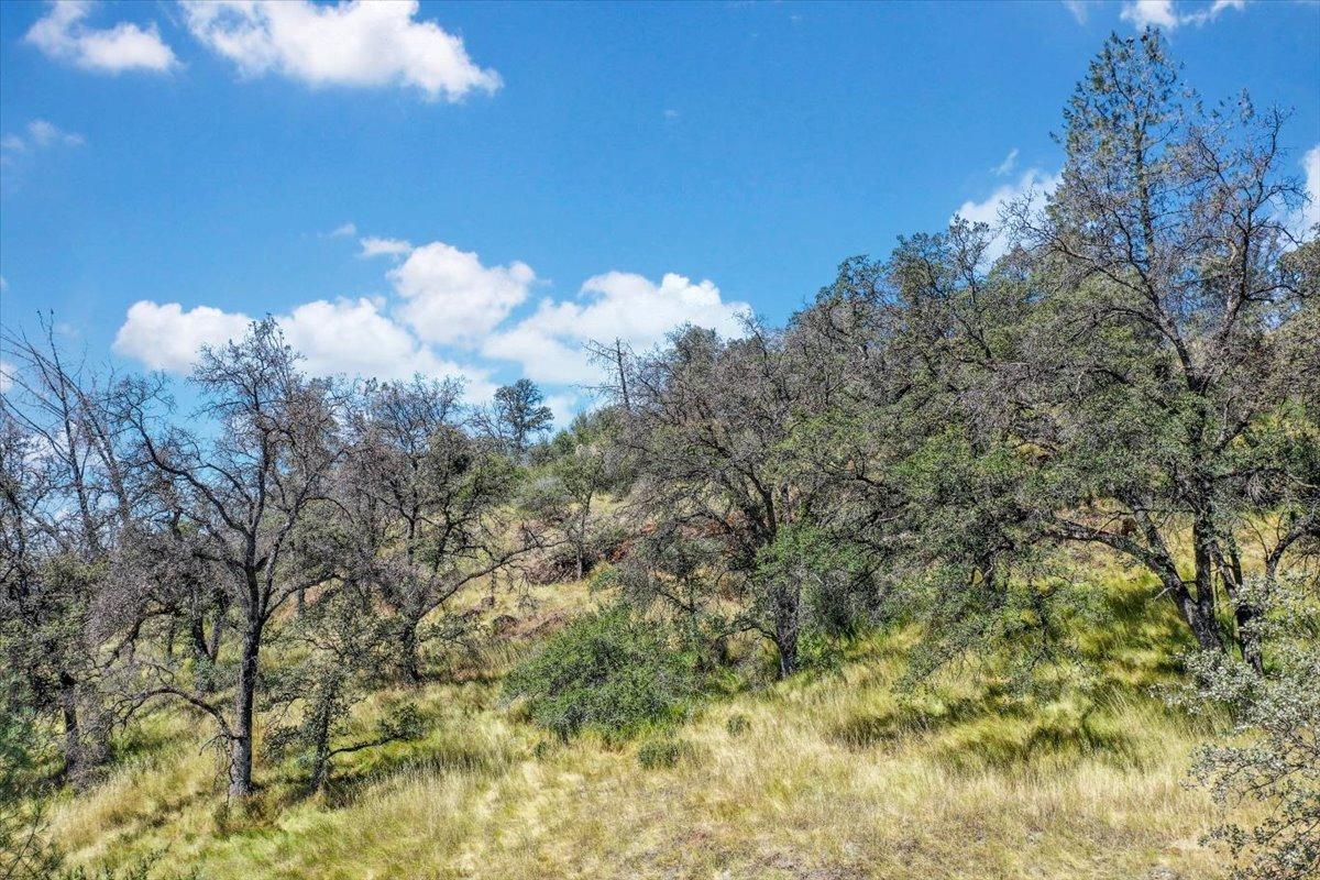 Lot 29 Township, Browns Valley, California image 32