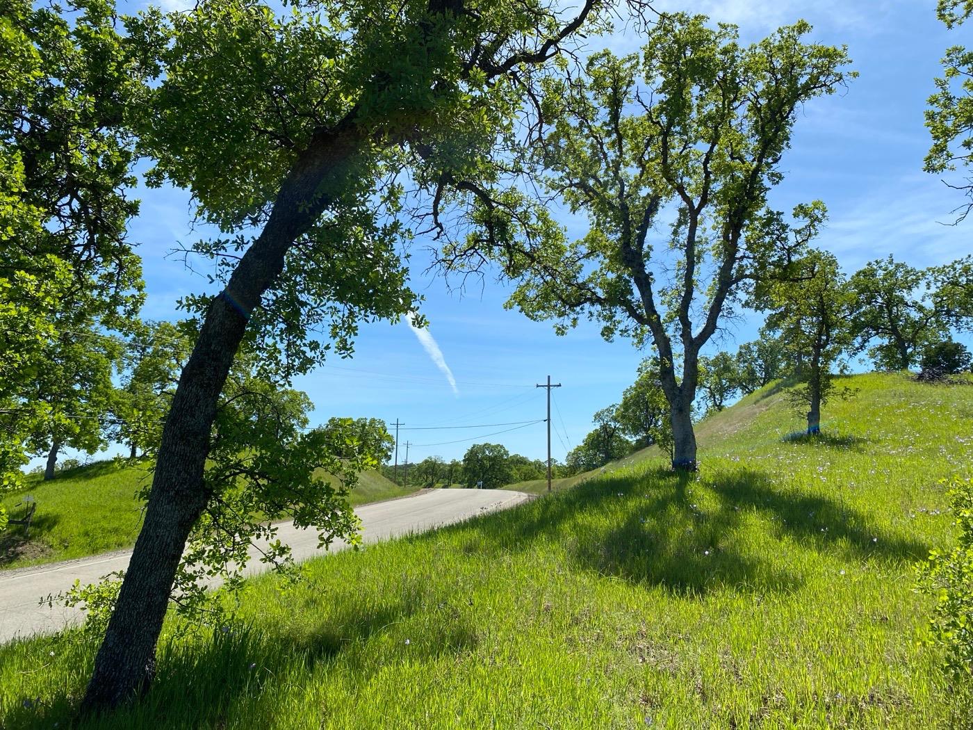 Deer Crest Trail, Cottonwood, California image 6