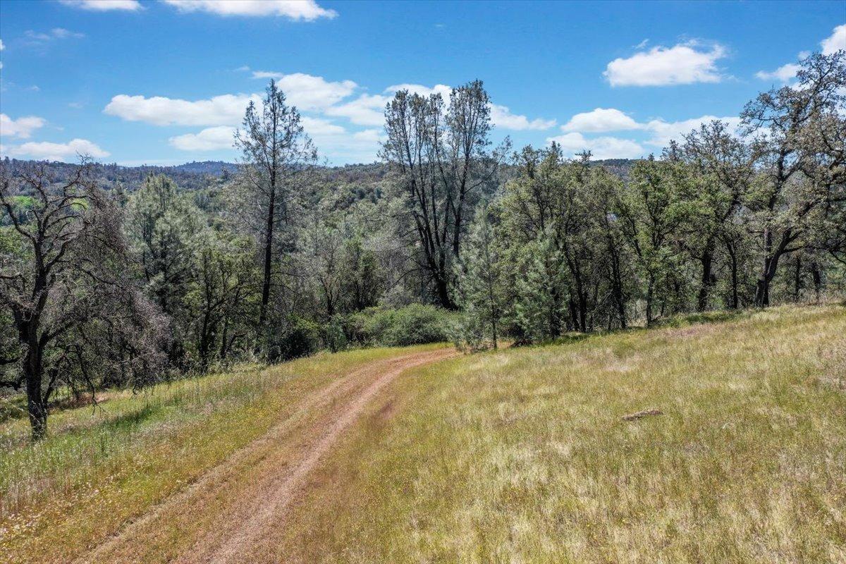 Lot 29 Township, Browns Valley, California image 48