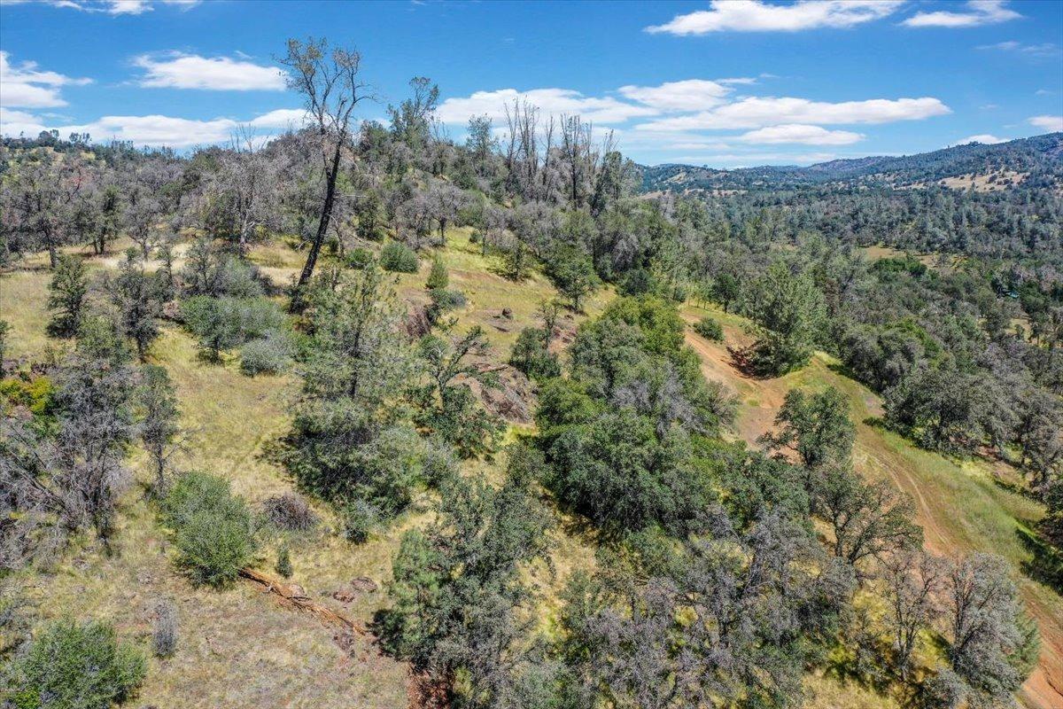 Lot 29 Township, Browns Valley, California image 42