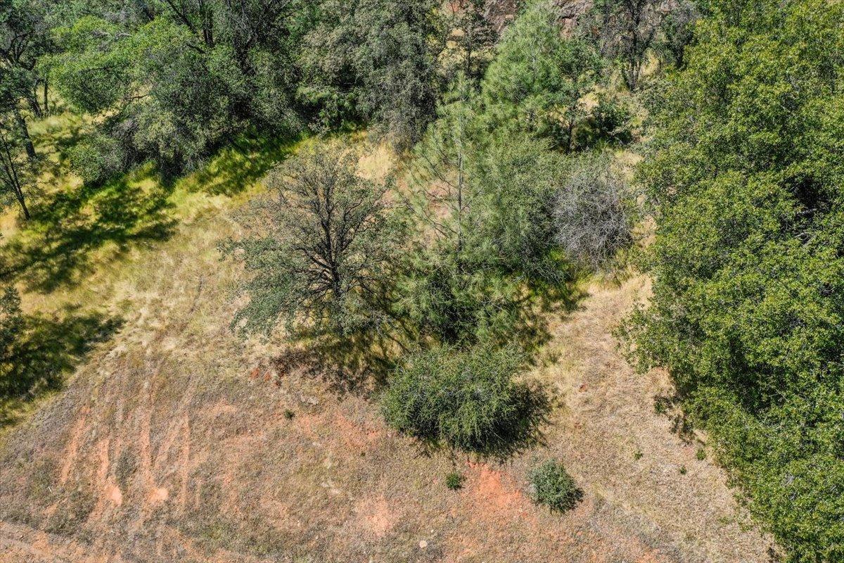 Lot 29 Township, Browns Valley, California image 3