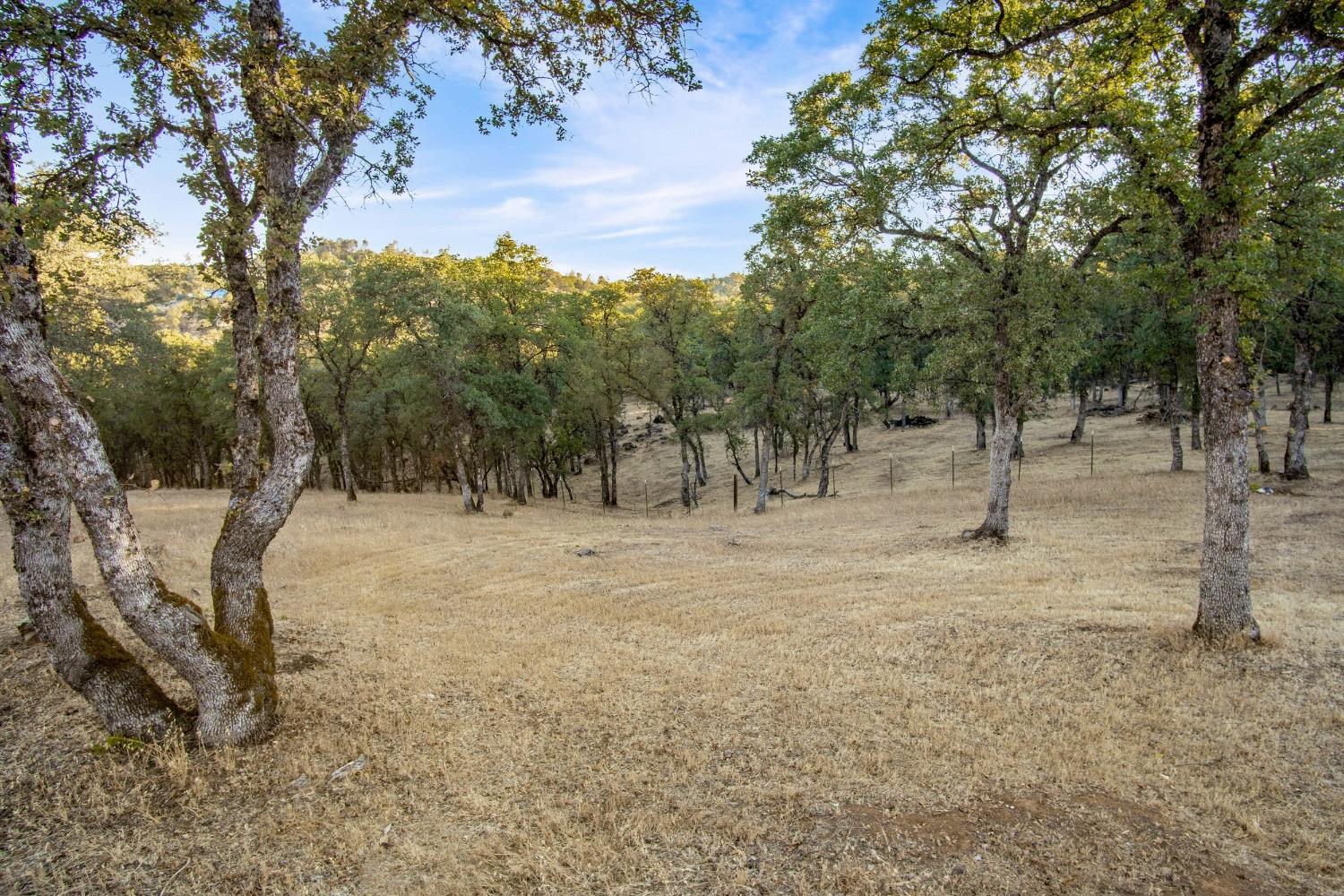 Detail Gallery Image 64 of 75 For 24090 Restive Way, Grass Valley,  CA 95949 - 4 Beds | 2/1 Baths