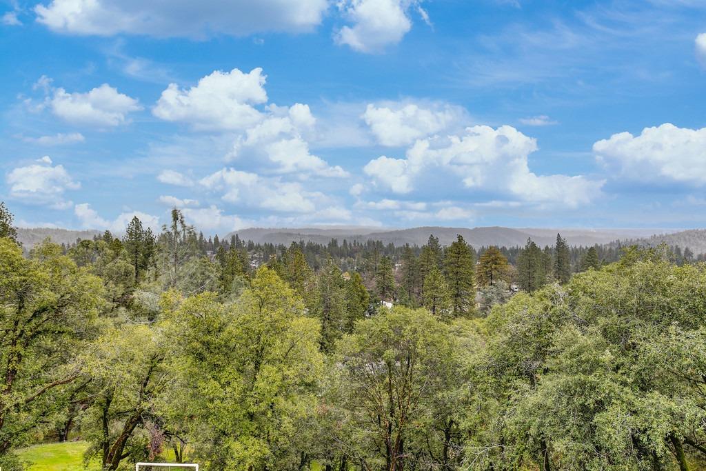 Detail Gallery Image 54 of 82 For 850 Gentry Ln, Colfax,  CA 95713 - 4 Beds | 2 Baths