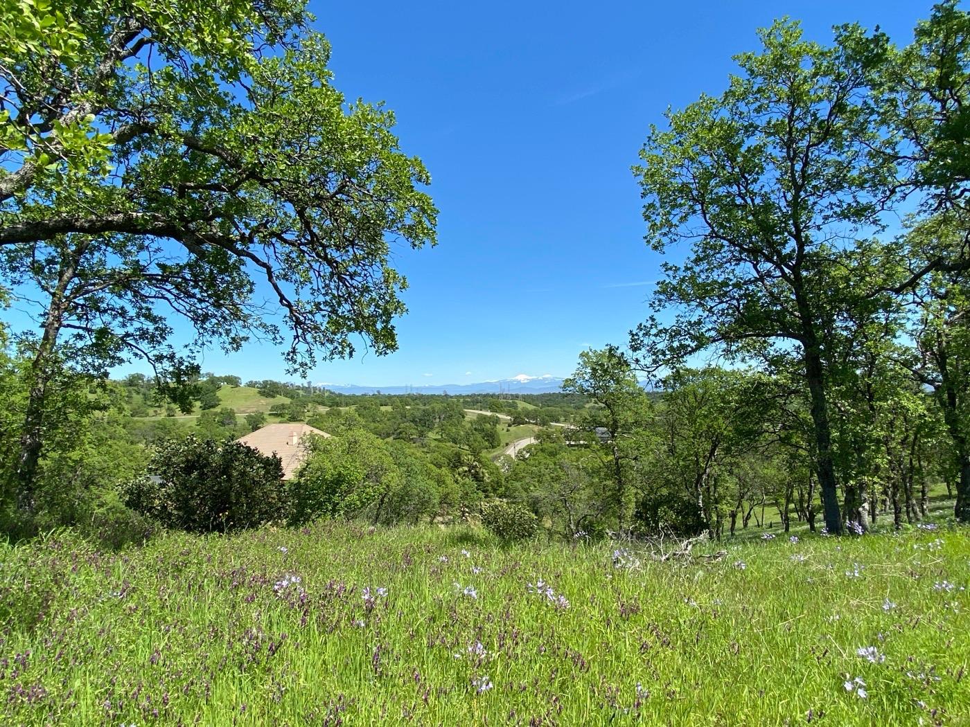 Deer Crest Trail, Cottonwood, California image 15