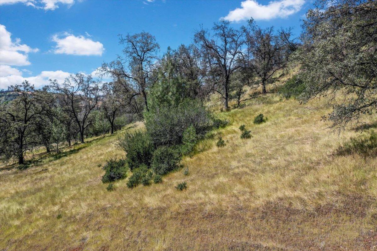 Lot 29 Township, Browns Valley, California image 28