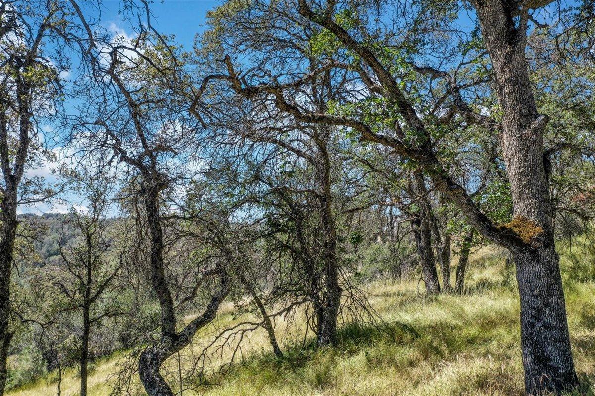 Lot 29 Township, Browns Valley, California image 24