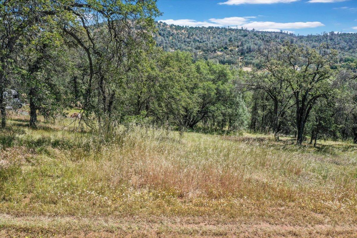 Lot 29 Township, Browns Valley, California image 47