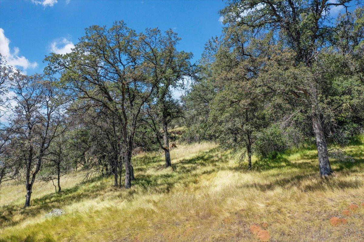 Lot 29 Township, Browns Valley, California image 31