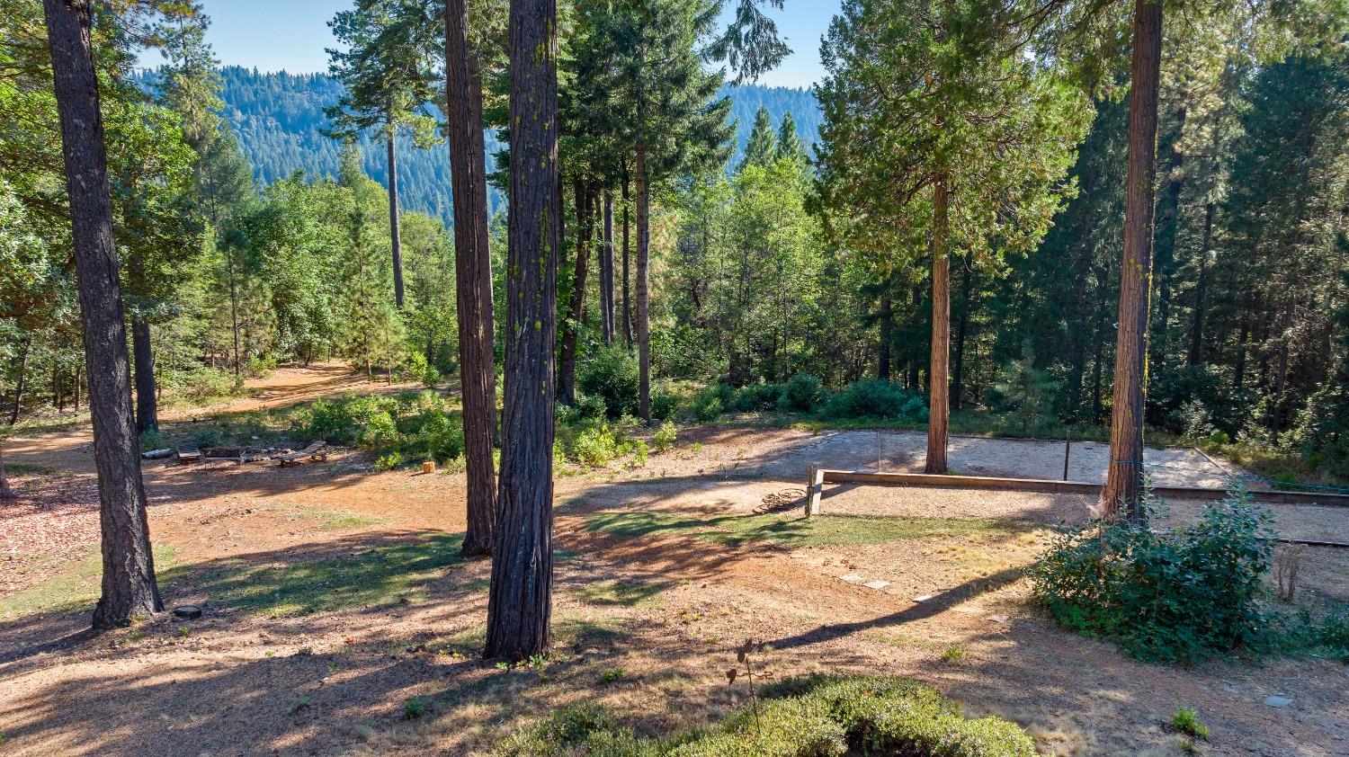 Detail Gallery Image 90 of 99 For 10895 Scotts Flat Dam Road, Nevada City,  CA 95959 - 3 Beds | 2 Baths