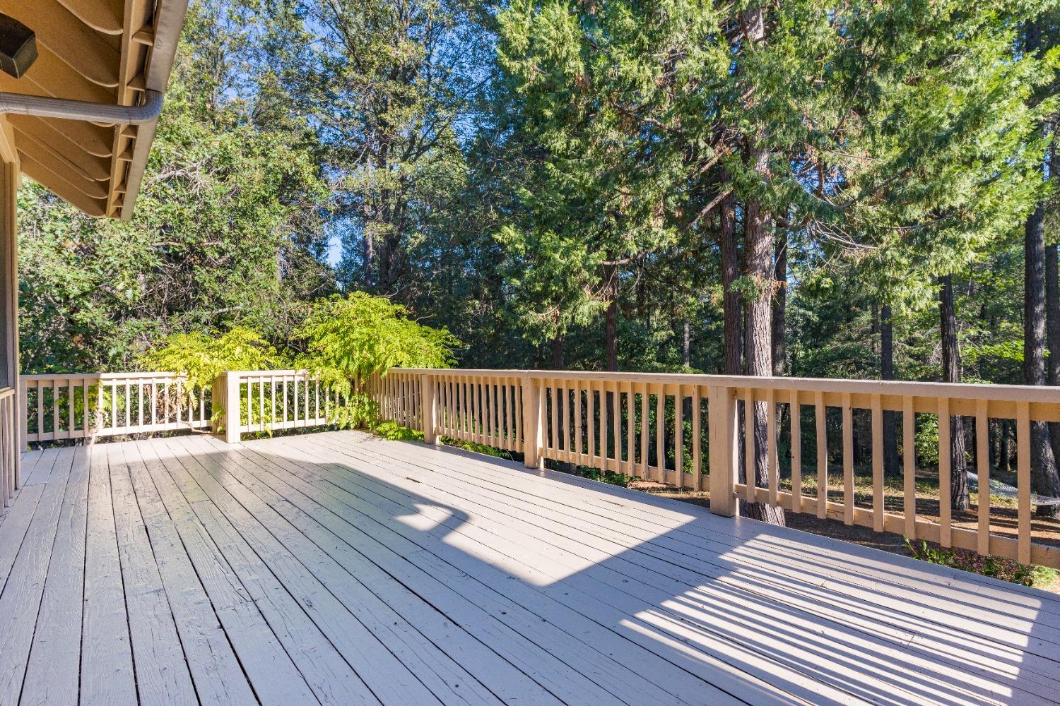 Detail Gallery Image 84 of 99 For 10895 Scotts Flat Dam Road, Nevada City,  CA 95959 - 3 Beds | 2 Baths