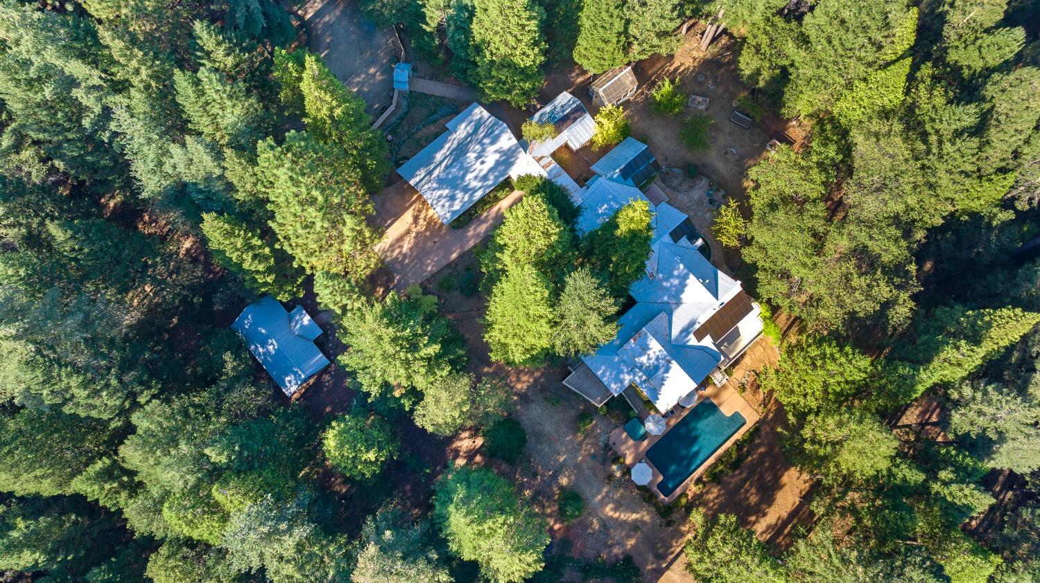 Detail Gallery Image 10 of 99 For 10895 Scotts Flat Dam Road, Nevada City,  CA 95959 - 3 Beds | 2 Baths