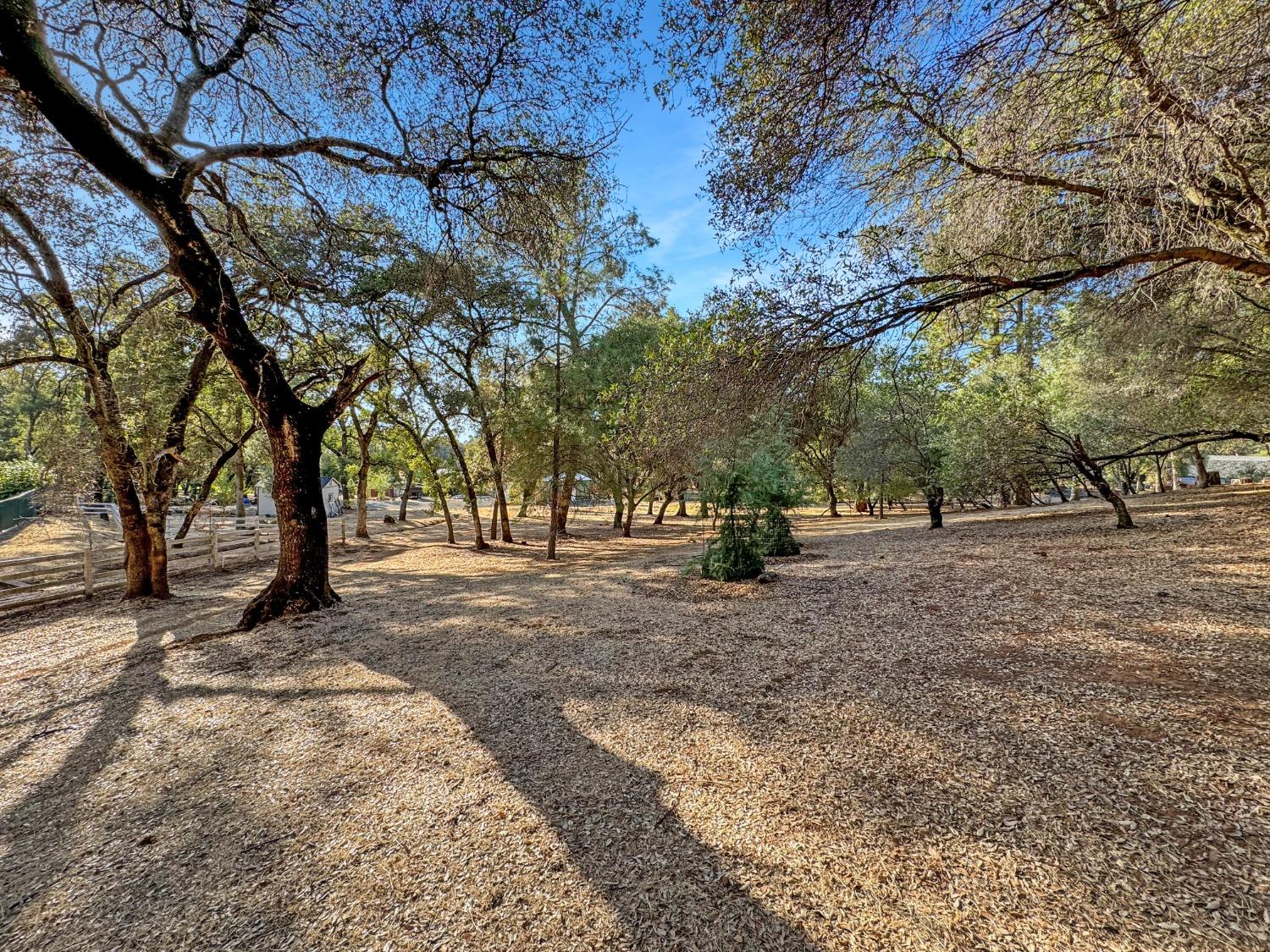 Detail Gallery Image 5 of 53 For 25414 Table Meadow Rd, Auburn,  CA 95602 - 4 Beds | 3/1 Baths