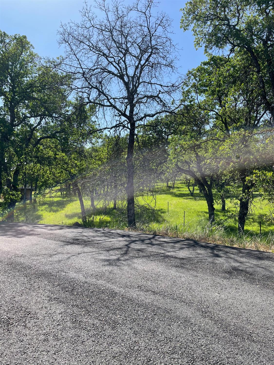 Stewart Court, Browns Valley, California image 8