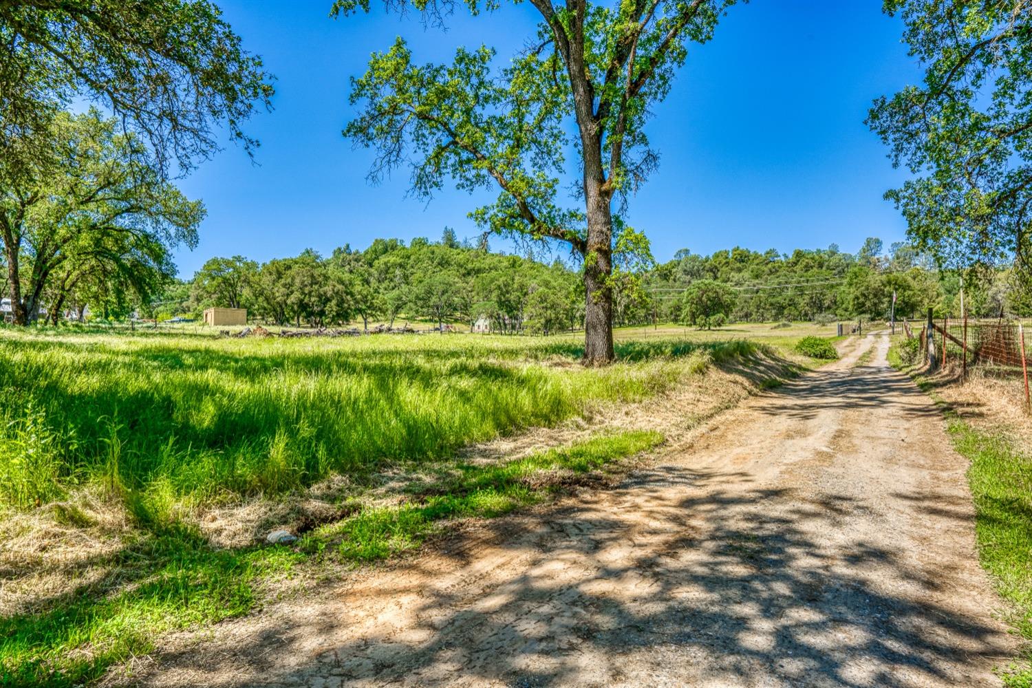 Detail Gallery Image 53 of 56 For 2720 North Shingle Rd, Shingle Springs,  CA 95682 - 4 Beds | 3/1 Baths