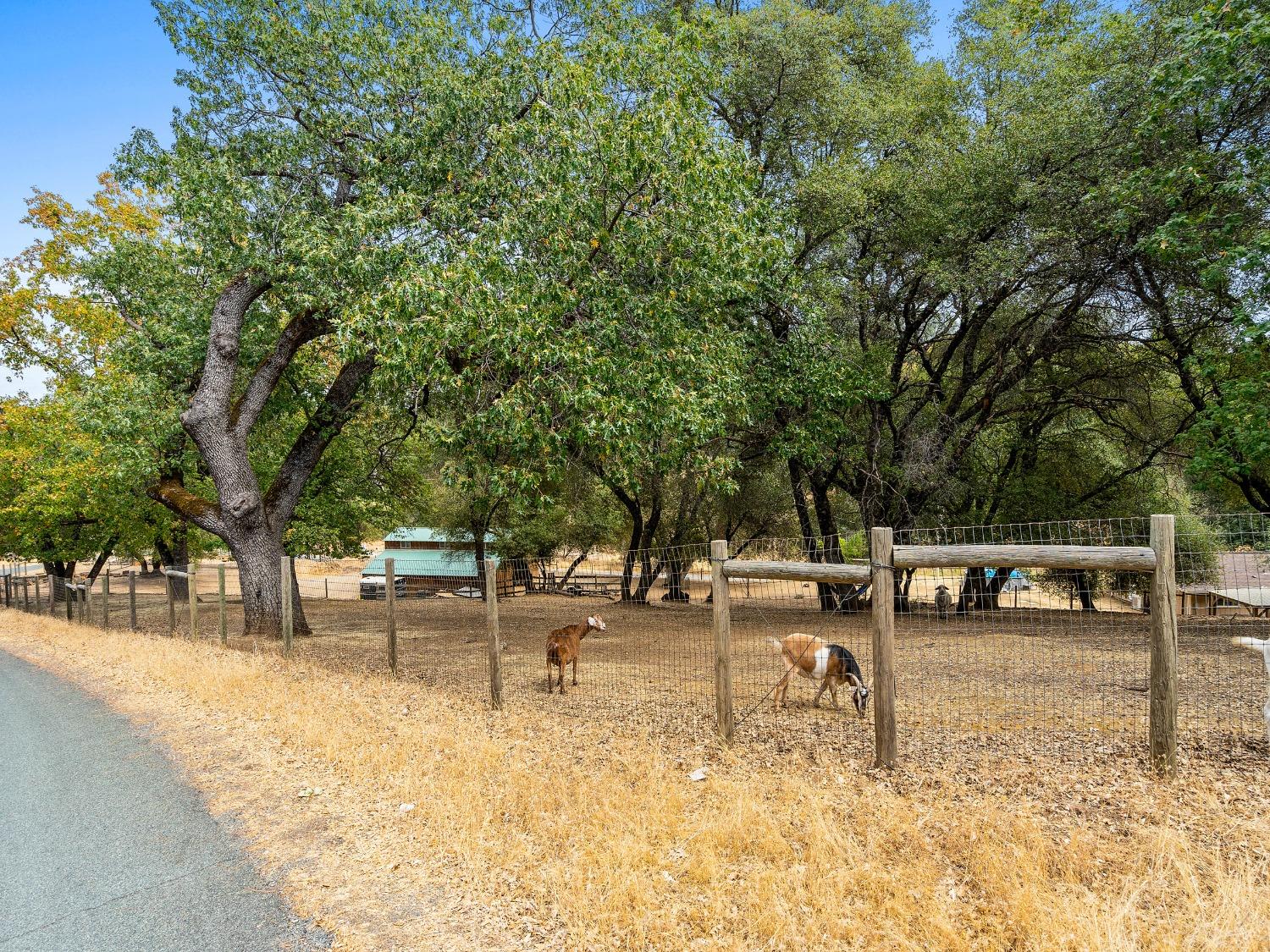 Detail Gallery Image 38 of 50 For 3980 Freedom Rd, Placerville,  CA 95667 - 3 Beds | 1 Baths