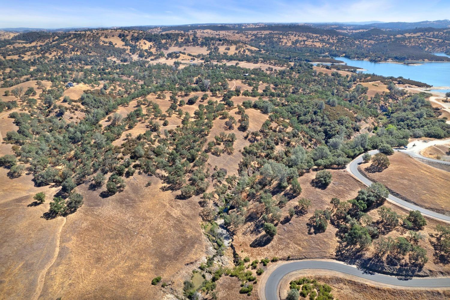 Jackson Valley Road, Ione, California image 8